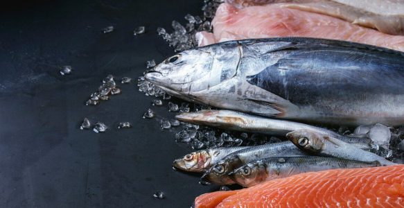 Policy Brief – Seafood Fraud