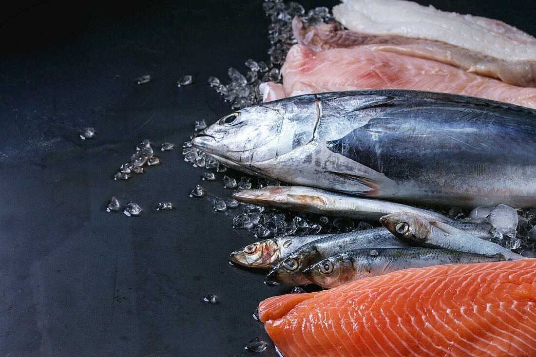 Policy Brief – Seafood Fraud